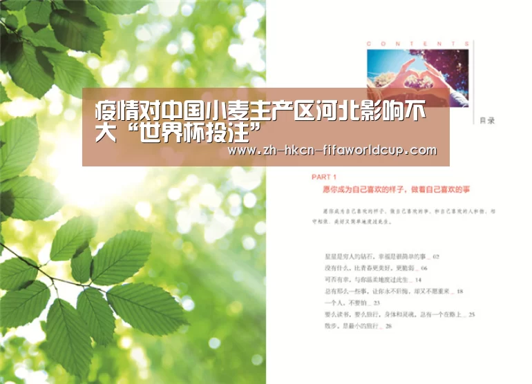 世界杯投注