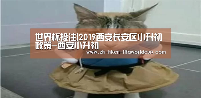 世界杯投注|2019西安长安区小升初政策-西安小升初