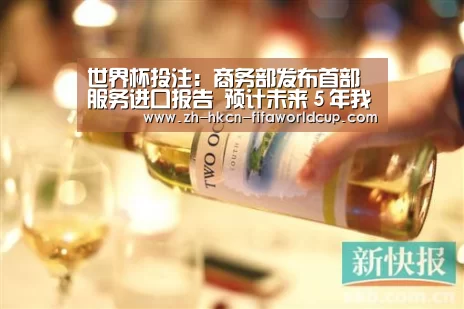 世界杯投注:商务部发布首部服务进口报告 预计未来5年我国服务进口占全球比重超10%(图2) 世界杯投注