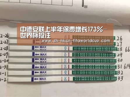 世界杯投注